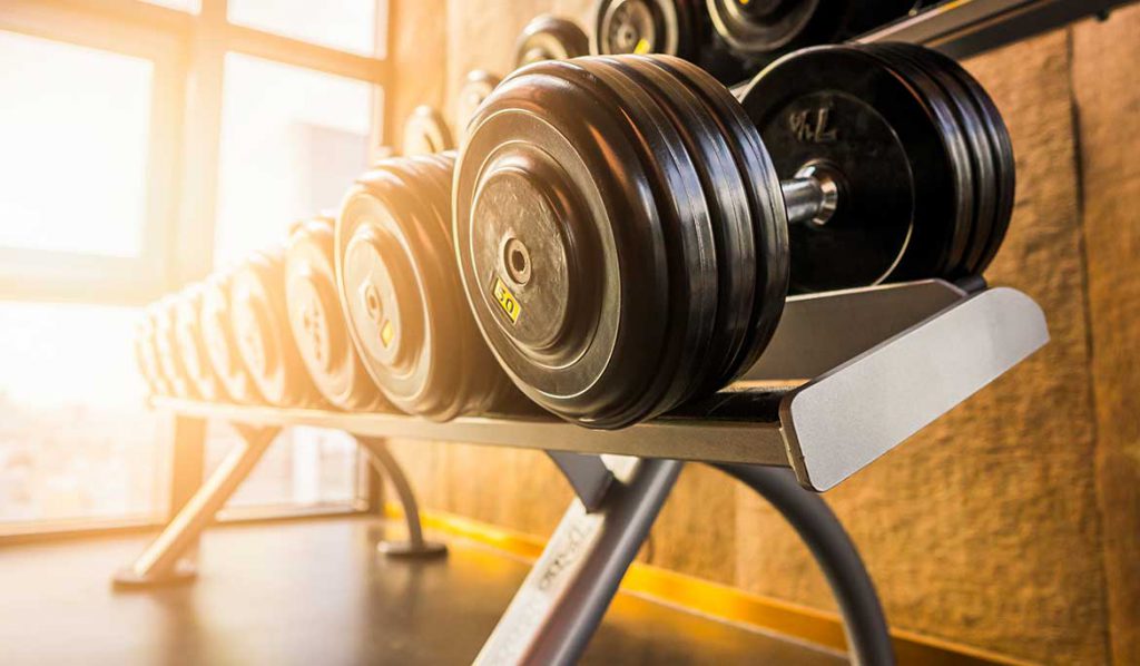 Freihanteltraining Freihanteltraining